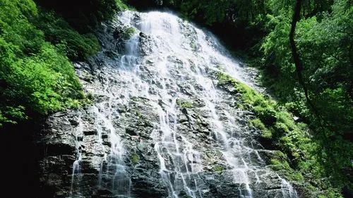 高端智能